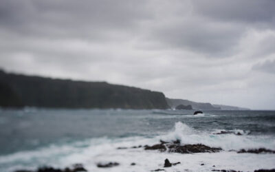 Skrypt rodzinny – jak zaczęła się ta historia?